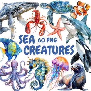 Paquete de imágenes prediseñadas de criaturas marinas en acuarela, imágenes prediseñadas de animales marinos, ilustraciones de pulpos, gráficos PNG transparentes, uso comercial