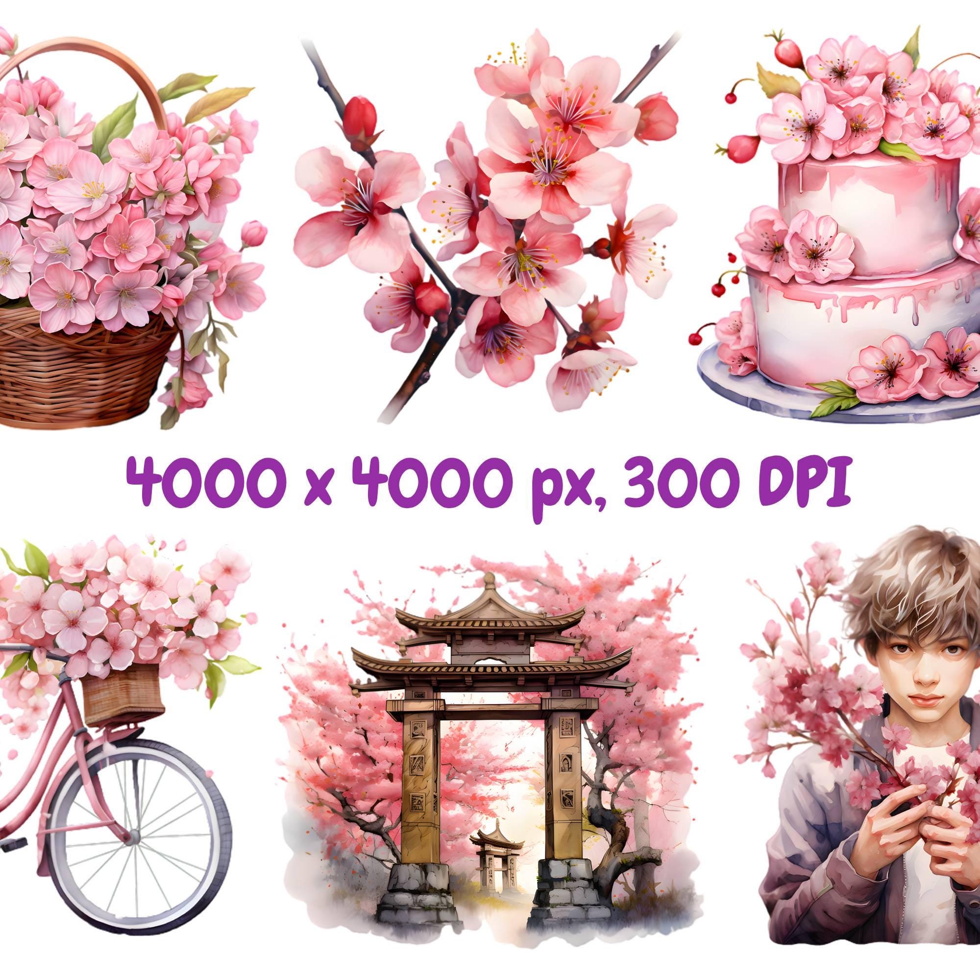 Watercolor Cherry Blossoms Clipart Bundle, Japanese Sakura Clipart ...