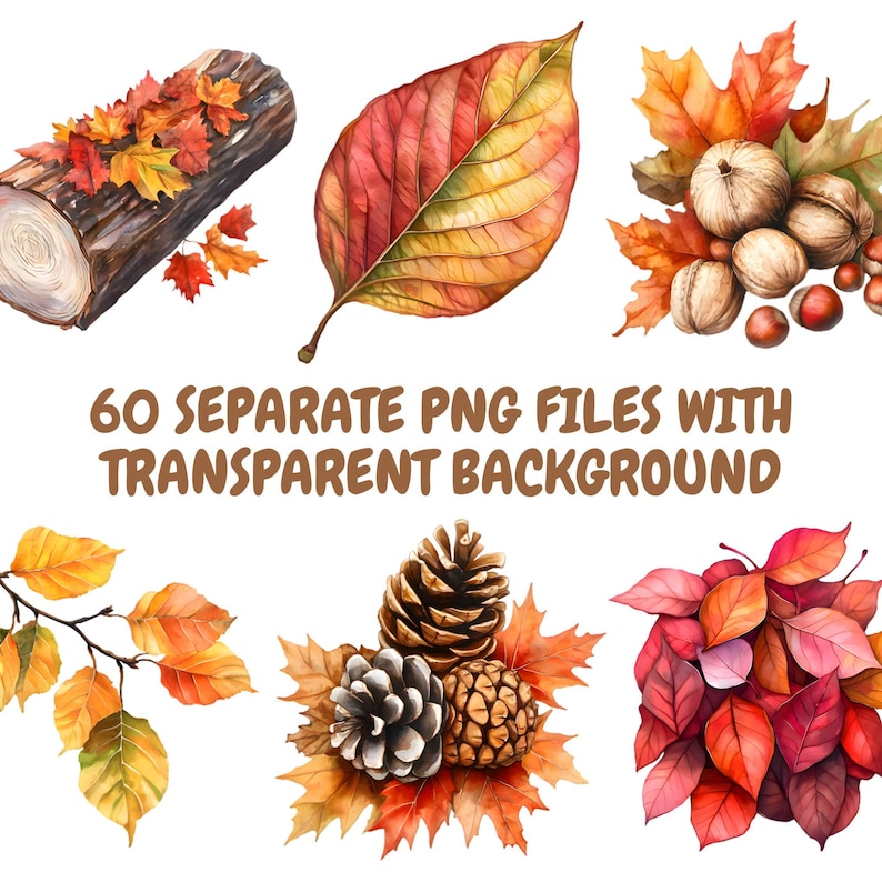 May include: A set of 60 watercolor illustrations of autumn leaves, acorns, pine cones, and a log. The illustrations are in shades of red, orange, yellow, brown, and green. The background is transparent.