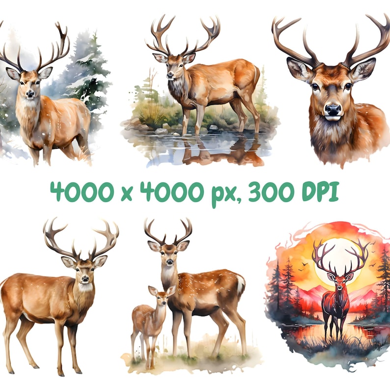 Watercolor Deer Clipart Bundle, Woodland Animals Clipart, Fawn ...