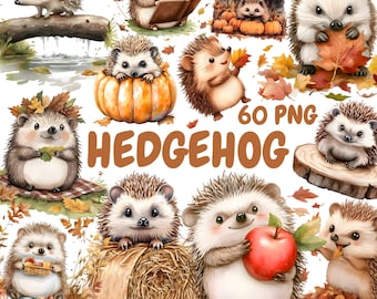 Watercolor Hedgehog Clipart Bundle, Cute Hedgehog Clipart, Hedgehog Illustrations, Transparent PNG Graphics, Commercial Use