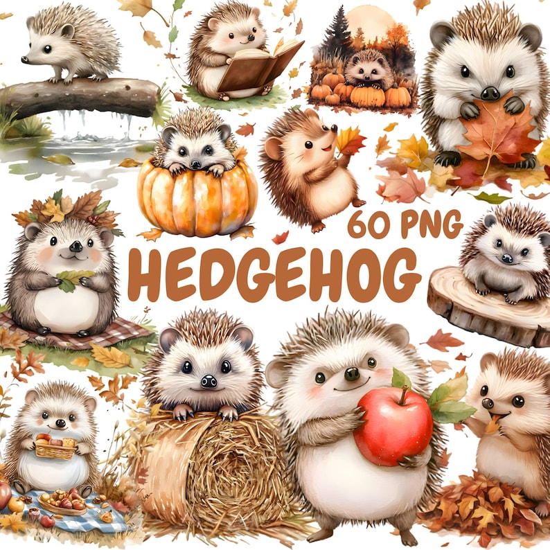 Puede incluir: Una colecci&oacute;n de 60 ilustraciones digitales de lindos erizos en varias poses y escenarios. Los erizos est&aacute;n representados en un estilo de dibujos animados con colores brillantes y detalles caprichosos. Algunos erizos sostienen hojas, manzanas o libros, mientras que otros est&aacute;n sentados en calabazas o fardos de heno. Las ilustraciones son perfectas para agregar un toque de encanto a cualquier proyecto.