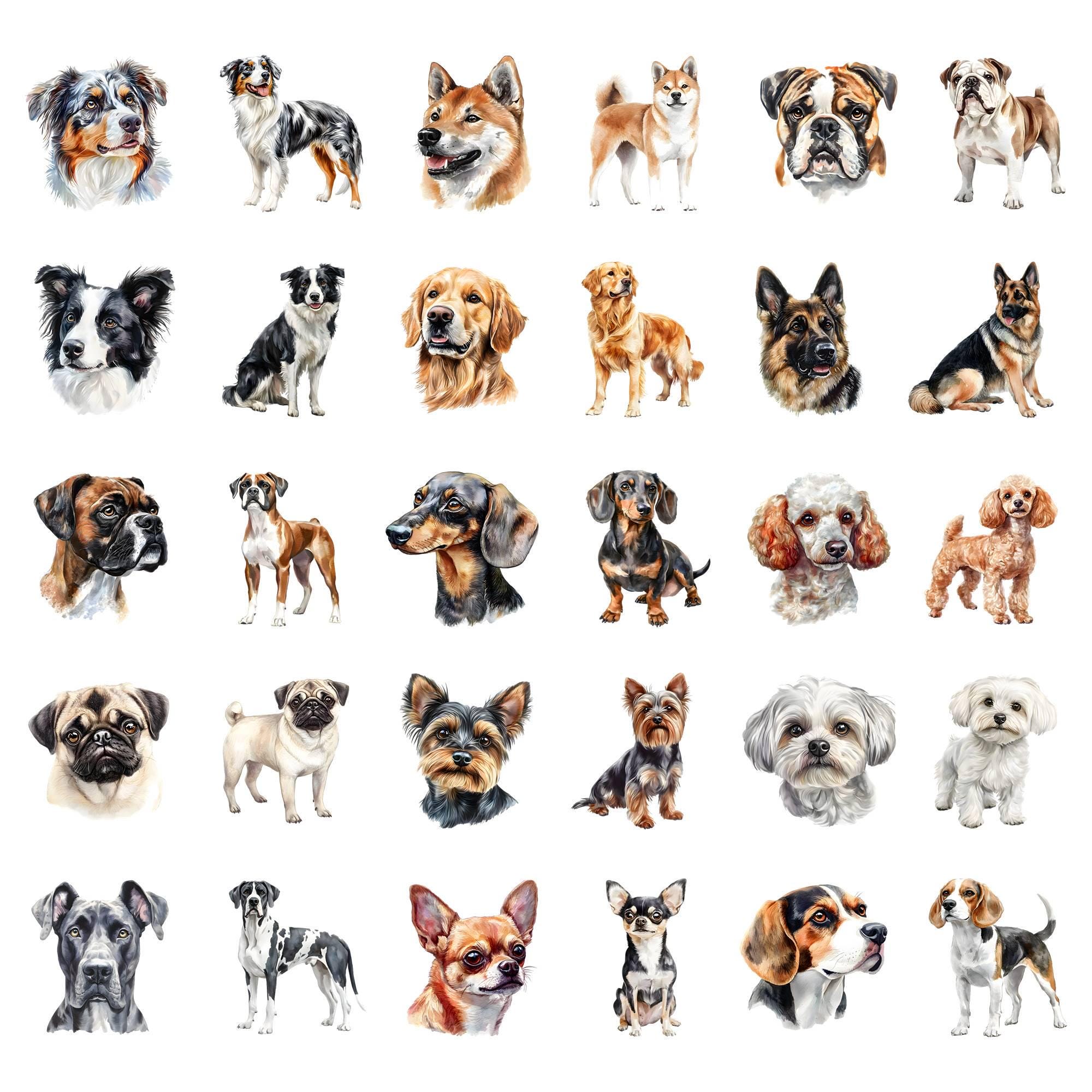 Watercolor Dogs Clipart Bundle, Dog Breeds Clipart, Puppy Illustrations ...