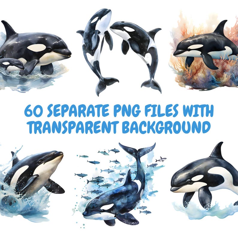 Może przedstawiać: Ilustracje akwarelowe orek w r&oacute;żnych pozach, z rozpryskami wody i elementami morskimi. Obraz zawiera tekst "60 SEPARATE PNG FILES WITH TRANSPARENT BACKGROUND". Orki są przedstawione w czerni i bieli.