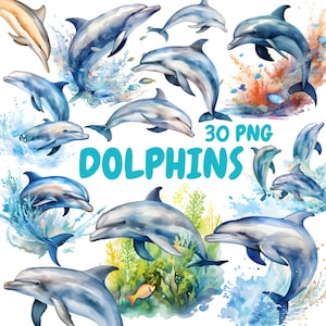 Bundle de cliparts aquarelles de dauphins, clipart animaux de l'océan, Illustrations de dauphins, graphiques PNG transparents, usage Commercial