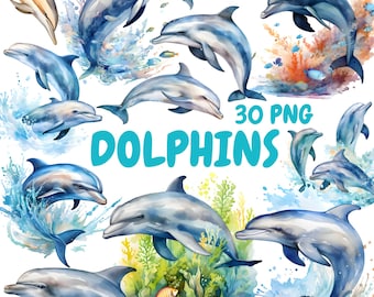 Watercolor Dolphins Clipart Bundle, Ocean Animals Clipart, Dolphins Illustrations, Transparent PNG Graphics, Commercial Use