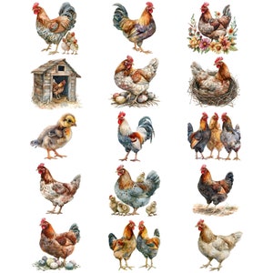 Aquarel kippen clipartbundel, clipart kippenhok, haanillustraties, transparante png-afbeeldingen, commercieel gebruik afbeelding 8