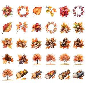 May include: A collection of watercolor illustrations featuring autumn leaves, acorns, pine cones, and trees. The illustrations are in shades of brown, orange, yellow, and red.