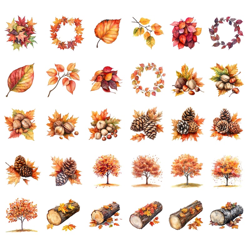 May include: A collection of watercolor illustrations featuring autumn leaves, acorns, pine cones, and trees. The illustrations are in shades of brown, orange, yellow, and red.