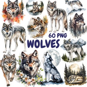 Bundle de cliparts aquarelle loups, clipart animaux de la forêt, illustrations de loups, graphiques PNG transparents, usage Commercial