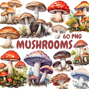 Bundle de cliparts champignons aquarelle, clipart champignon vénéneux forêt, Illustrations de champignons, graphiques PNG transparents, usage Commercial