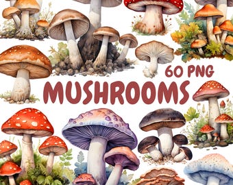 Watercolor Mushrooms Clipart Bundle, Forest Toadstool Clipart, Mushroom Illustrations, Transparent PNG Graphics, Commercial Use