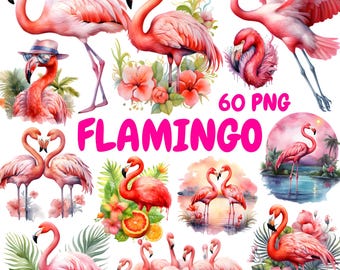 Watercolor Flamingo Clipart Bundle, Tropical Birds Clipart, Flamingo Illustrations, Transparent PNG Graphics, Commercial Use
