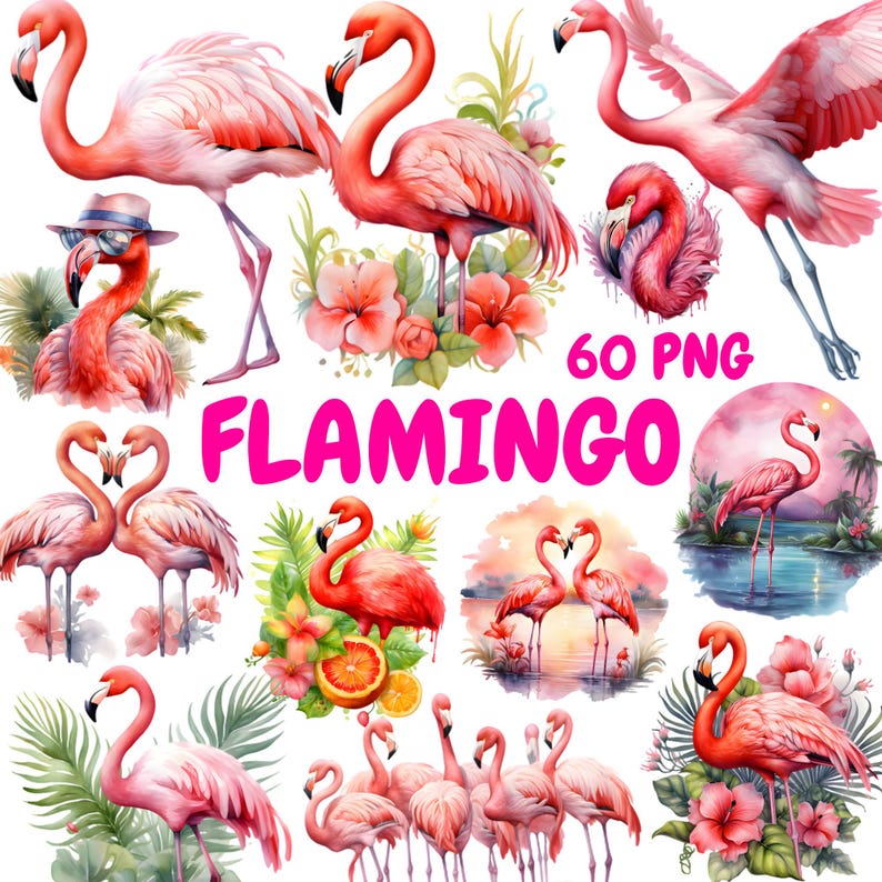 K&ouml;nnte beinhalten: Eine Sammlung von Aquarell-Flamingo-Illustrationen in verschiedenen Posen, umgeben von tropischen Blumen und Bl&auml;ttern. Der Text "60 PNG FLAMINGO" wird in leuchtendem Pink angezeigt. Die Flamingos sind in Rosa- und Rott&ouml;nen dargestellt.