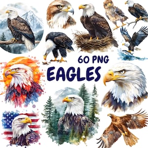 Aquarell Adler Clipart Bundle, Weißkopfseeadler Clipart, Adler Illustrationen, transparente PNG Grafiken, kommerzielle Nutzung