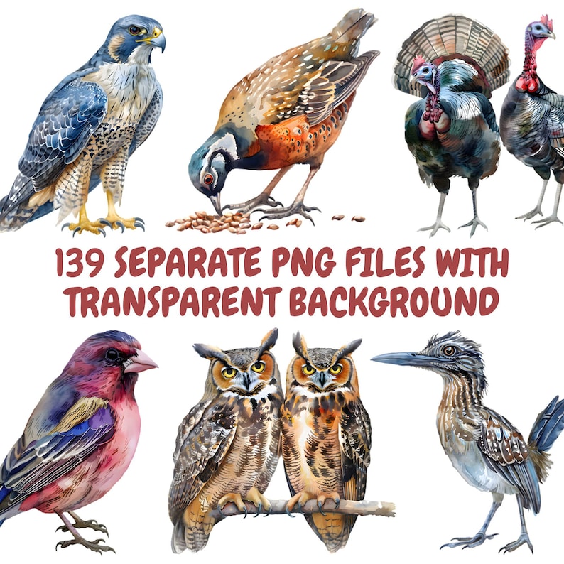 May include: A set of 139 watercolor illustrations of various birds, including a falcon, a quail, a turkey, an owl, a finch, and a roadrunner. The birds are depicted in a realistic style with detailed feathers and markings. The illustrations are isolated on a white background.