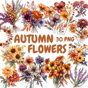 Paquete de imágenes prediseñadas de flores de otoño en acuarela, imágenes prediseñadas de follaje otoñal, ilustraciones de ramos, gráficos PNG transparentes, uso comercial