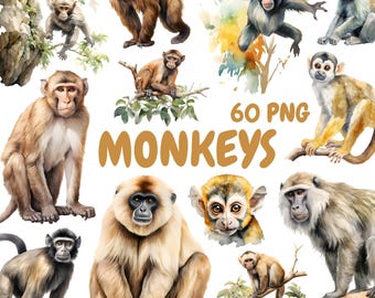 Paquete de imágenes prediseñadas de monos de acuarela, imágenes prediseñadas de monos lindos, ilustraciones de monos, gráficos PNG transparentes, uso comercial