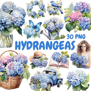 May include: Watercolor illustrations of hydrangeas in various arrangements. The image includes bouquets in vases and baskets, a wreath, a butterfly, a bird, and a vintage truck, all in shades of blue, pink, and green. Text reads "HYDRANGEAS 30 PNG."