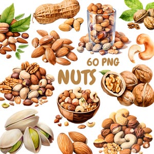 Watercolor Nuts Clipart Bundle, Peanut Walnut Clipart, Almond Illustrations, Transparent PNG Graphics, Commercial Use