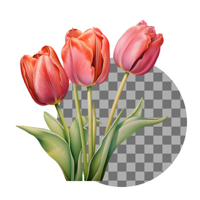 Watercolor Spring Garden Clipart Bundle Spring Flowers Clipart watercolor-spring-garden-clipart-bundle-spring-flowers-clipart