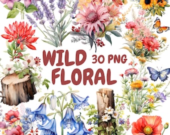 Watercolor Wild Floral Clipart Bundle, Spring Wildflower Clipart, Nature Illustrations, Transparent PNG Graphics, Commercial Use