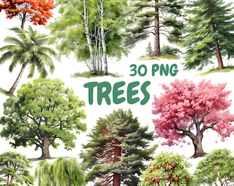Watercolor Trees Clipart Bundle, Pine Tree Clipart, Forest Illustrations, Transparent PNG Graphics, Commercial Use