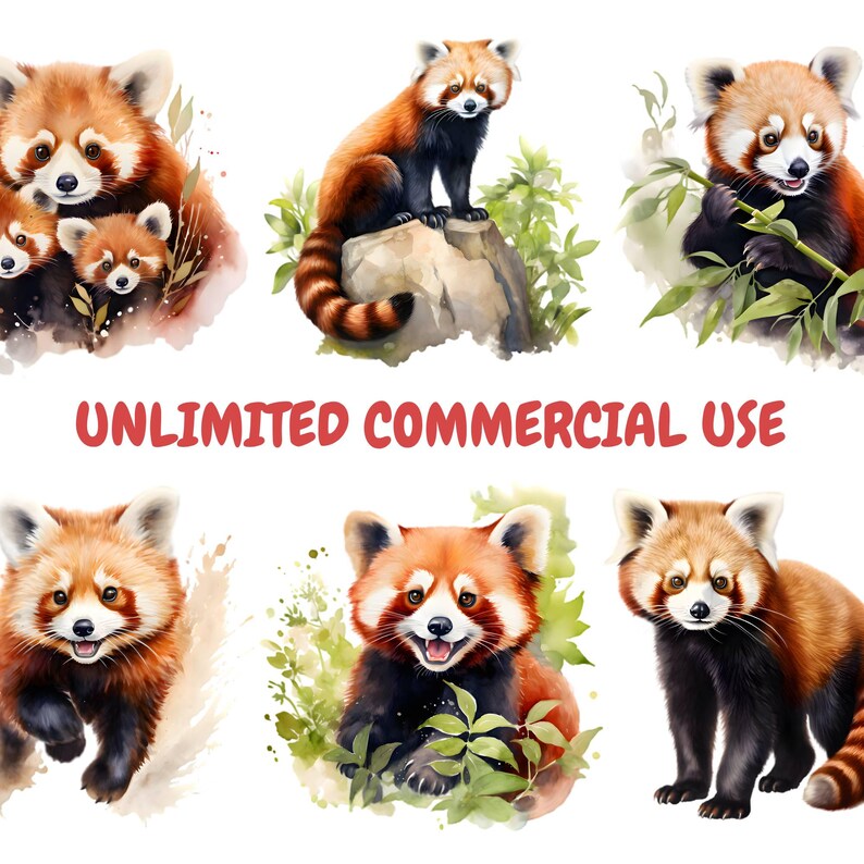 May include: Watercolor illustrations of red pandas in various poses. The images feature the animals with their distinctive reddish-brown fur, white markings, and bushy tails. The text "UNLIMITED COMMERCIAL USE" is displayed in red.