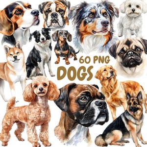 Aquarell Hunde Clipart Bundle, Hunderassen Clipart, Welpen Illustrationen, transparente PNG Grafiken, kommerzielle Nutzung