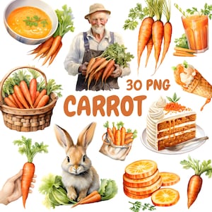 Watercolor Carrot Clipart Bundle, Healthy Vegetable Clipart, Carrot Illustrations, Transparent PNG Graphics, Commercial Use