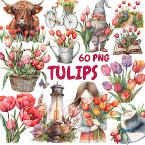 Watercolor Tulips Clipart Bundle, Spring Flower Clipart, Tulip Illustrations, Transparent PNG Graphics, Commercial Use