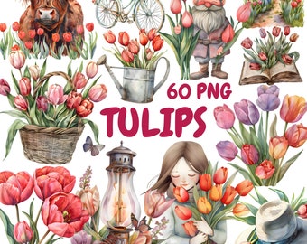 Paquete de imágenes prediseñadas de tulipanes en acuarela, imágenes prediseñadas de flores de primavera, ilustraciones de tulipanes, gráficos PNG transparentes, uso comercial