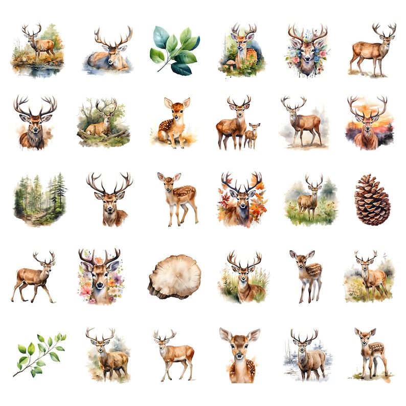 Watercolor Deer Clipart Bundle, Woodland Animals Clipart, Fawn ...