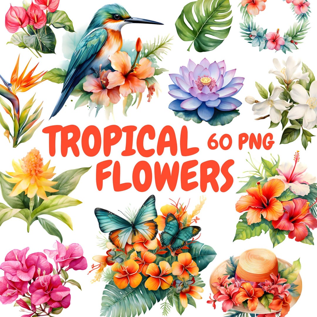 Watercolor Tropical Flowers Clipart Bundle Exotic Plants Clipart watercolor-tropical-flowers-clipart-bundle-exotic-plants-clipart
