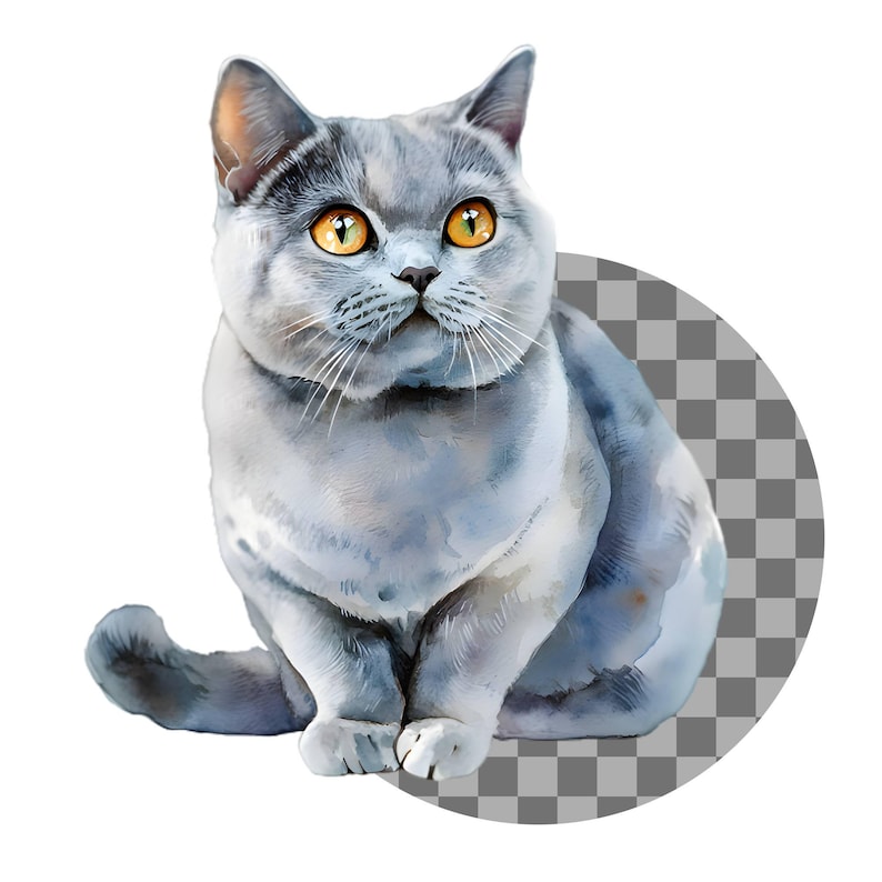 May include: A gray British Shorthair cat with yellow eyes sits on a checkered background. The cat is looking to the left of the image.