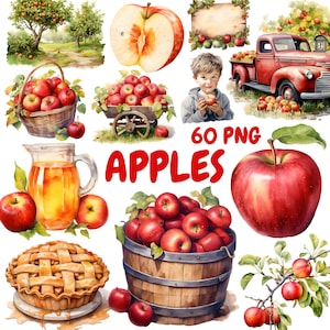 Può includere: Illustrazione ad acquerello con mele rosse e prodotti correlati. Include un cesto, un carretto, un camion rosso, una torta e una botte di mele. È presente anche il testo "60 PNG APPLES".