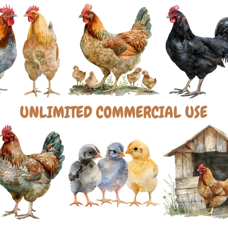 Op de afbeelding: Waterverfillustratie van een groep kippen en kuikens. De kippen zijn bruin, zwart en grijs met rode kammen. De kuikens zijn geel, grijs en blauw. De illustratie bevat de tekst "UNLIMITED COMMERCIAL USE".