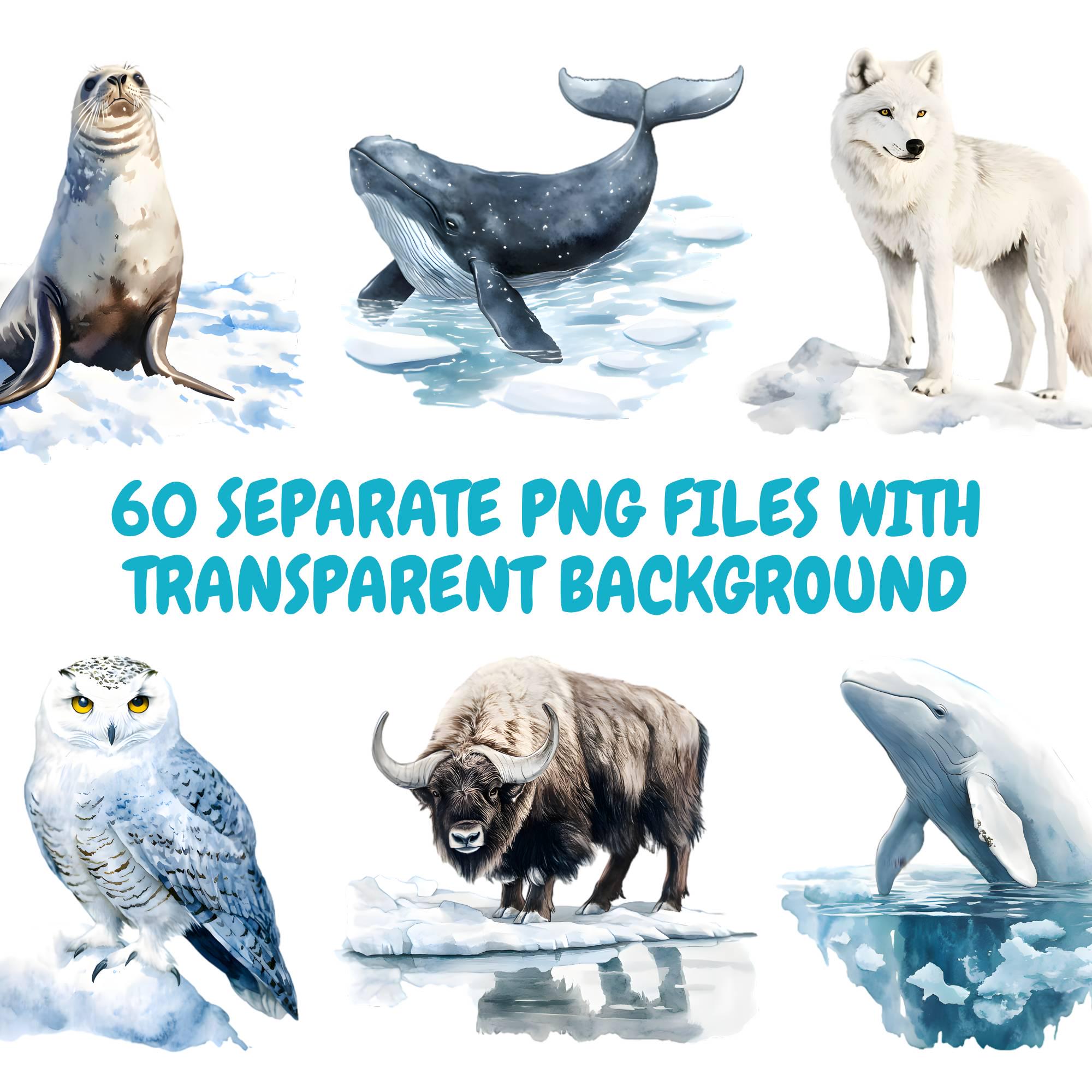 Watercolor Arctic Animals Clipart Bundle, Polar Bear Clipart, Seal ...
