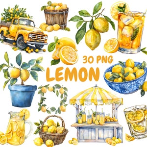 Aquarell Zitrone Clipart Bundle, Zitronenzweig Clipart, Limonade Illustrationen, transparente PNG Grafiken, kommerzielle Nutzung