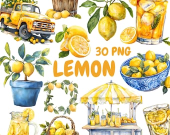 Bundle de cliparts aquarelle citron, clipart branche de citron, Illustrations de limonade, graphiques PNG transparents, usage Commercial