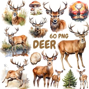 Watercolor Deer Clipart Bundle, Woodland Animals Clipart, Fawn Illustrations, Transparent PNG Graphics, Commercial Use