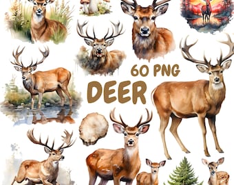 May include: A collection of watercolor illustrations featuring deer in various poses. The images showcase deer with large antlers, some standing in nature scenes, and others in close-up portraits. The text "60 PNG DEER" is also present.