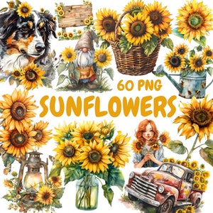 Bundle de cliparts tournesols aquarelle, Clipart Couronne de tournesol, Illustrations florales, graphiques PNG transparents, usage Commercial