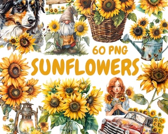 Paquete de imágenes prediseñadas de girasoles en acuarela, imágenes prediseñadas de corona de girasol, ilustraciones florales, gráficos PNG transparentes, uso comercial