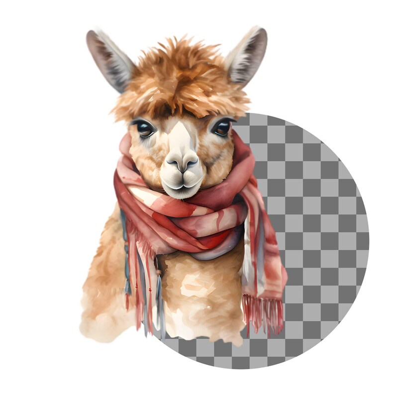 Watercolor Alpaca Clipart Bundle, Cute Llama Clipart, Alpaca ...