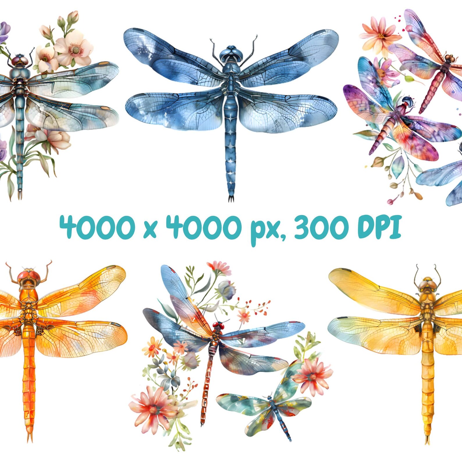 Watercolor Dragonfly Clipart Bundle, Floral Dragonflies Clipart, Insect ...