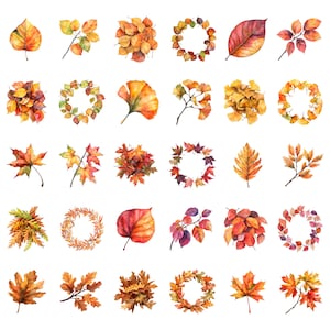 Watercolor Autumn Leaves Clipart Bundle, Fall Leaves Clipart, Leaf Illustrations, Transparent PNG Graphics, Commercial Use image 7