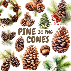 Watercolor Pine Cones Clipart Bundle, Pine Tree Clipart, Wreath Illustrations, Transparent PNG Graphics, Commercial Use