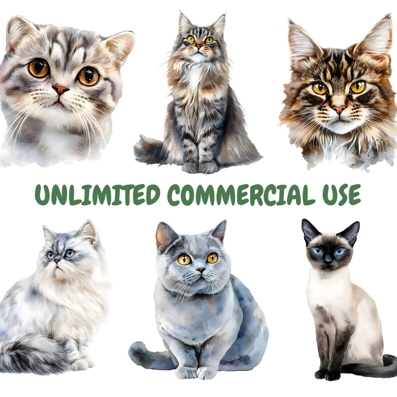 May include: A digital illustration of six watercolor painted cats. The cats are all different breeds and colors, including a gray tabby, a brown tabby, a gray and white cat, a blue cat, a Siamese cat, and a black and white cat. The cats are all looking at the camera.