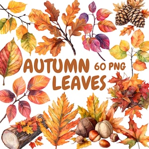 Paquete de imágenes prediseñadas de hojas de otoño en acuarela, imágenes prediseñadas de hojas de otoño, ilustraciones de hojas, gráficos PNG transparentes, uso comercial